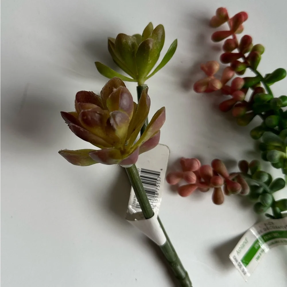 NWT Artificial Succulent Arrangement - Green and Brown set of succulents